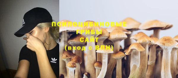 дурь Кулебаки