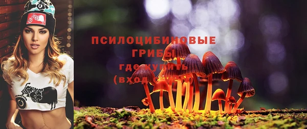 дурь Кулебаки