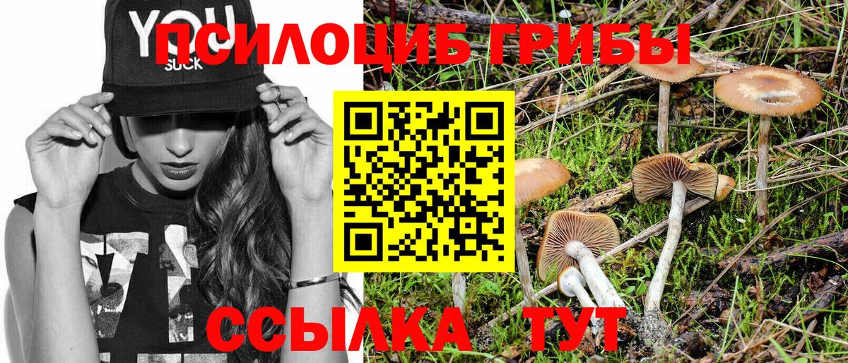 Псилоцибиновые грибы Cubensis  Вход с VPN  что такое наркотик  Избербаш 